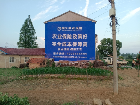 冕宁墙体广告的优劣势你知道吗？