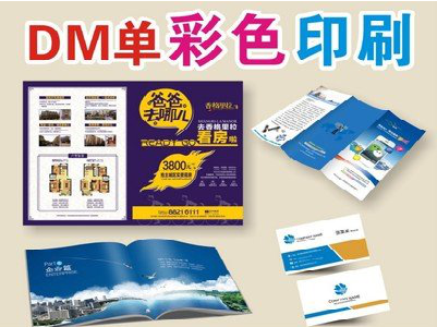 冕宁单页印刷，色彩搭配简单。